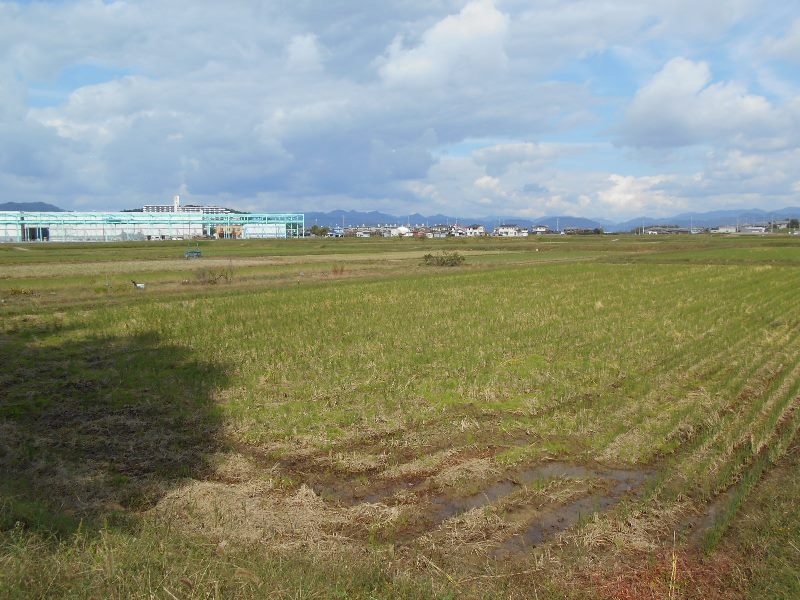 f0297545_6413479.jpg