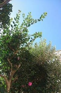 f0087347_21584715.jpg