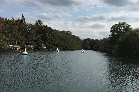 e0172950_1950285.jpg
