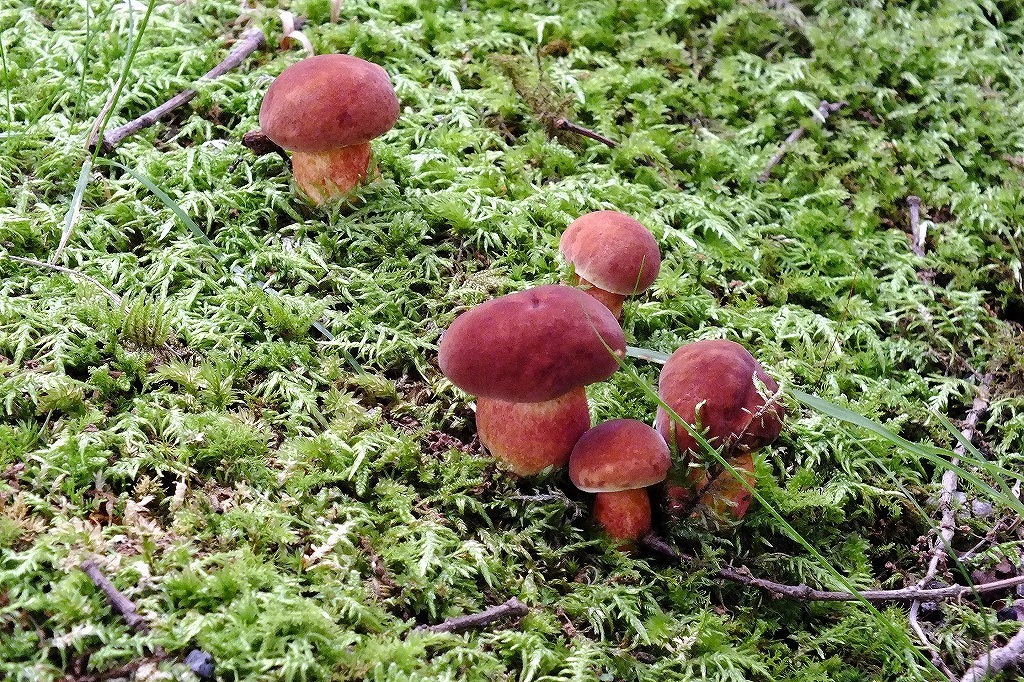 b0236251_08463669.jpg
