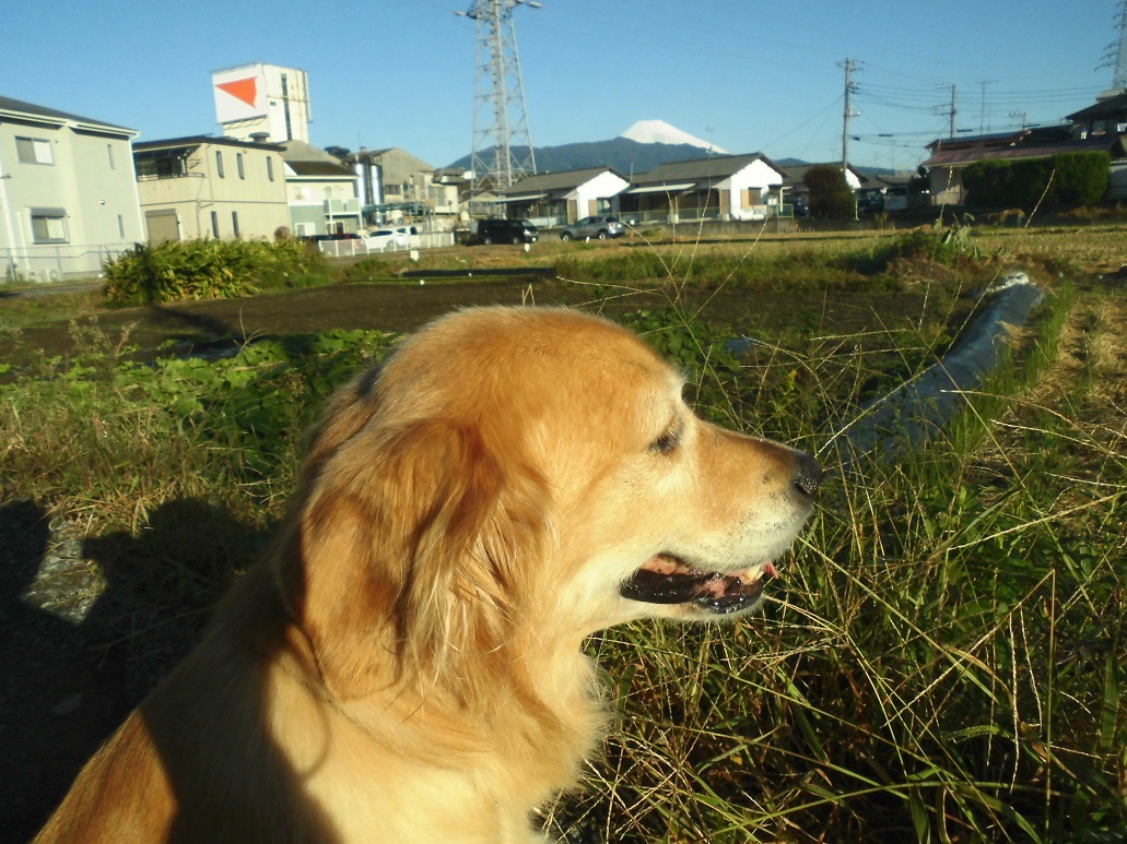 富士山_c0347153_07412438.jpg