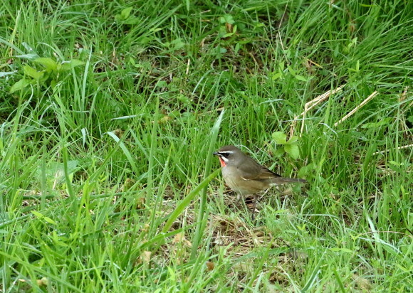 a0362854_20454591.jpg