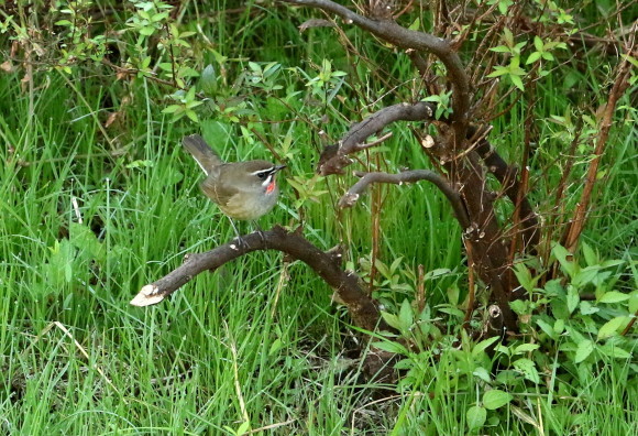 a0362854_20455889.jpg