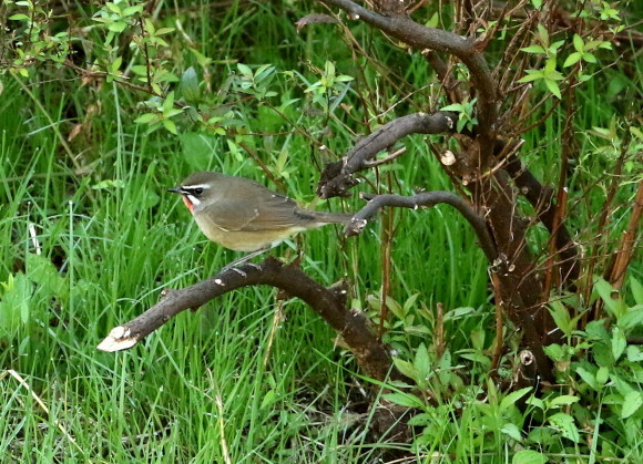 a0362854_20460744.jpg