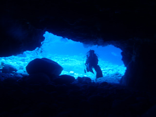 d0113459_19573477.jpg