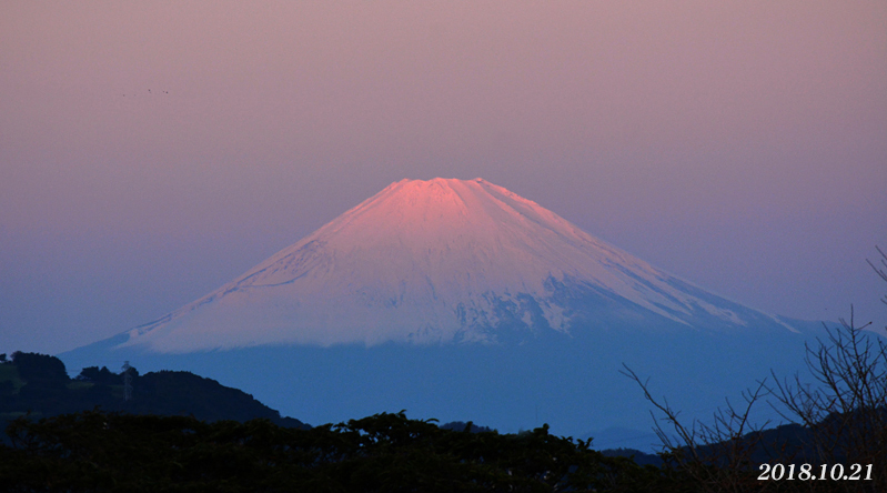 お気に入りの寺院で『そうだ 鎌倉、行こう』_d0251161_07225335.jpg