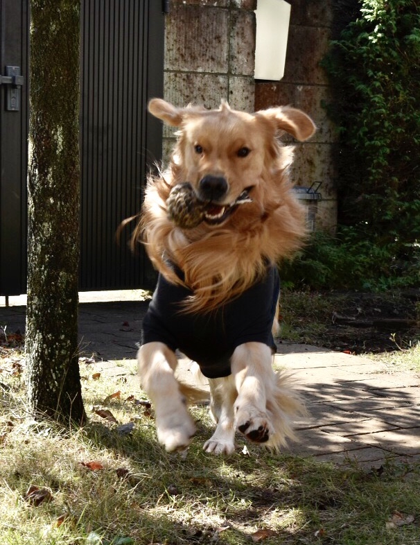 b0134364_14151987.jpeg