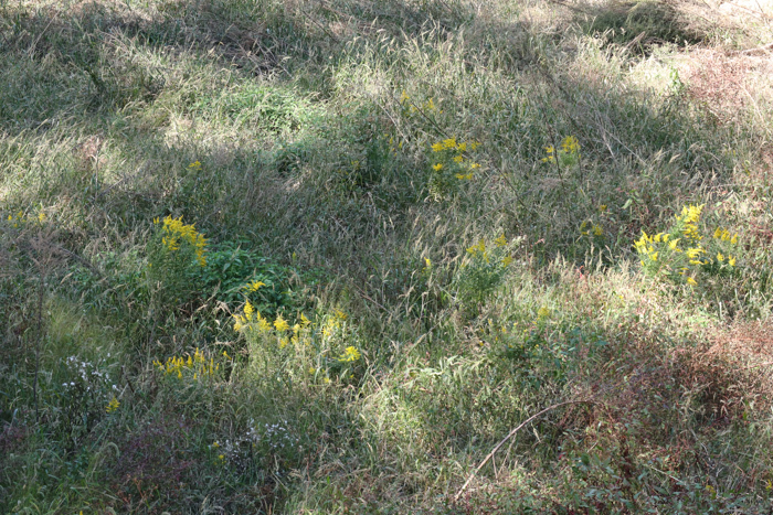 c0183164_21041949.jpg
