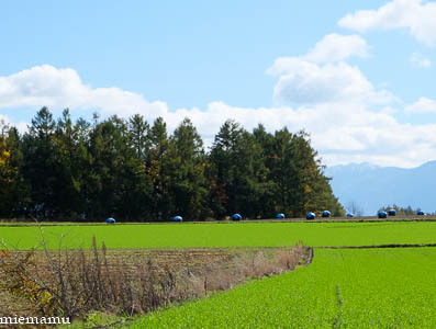 d0340565_17171873.jpg