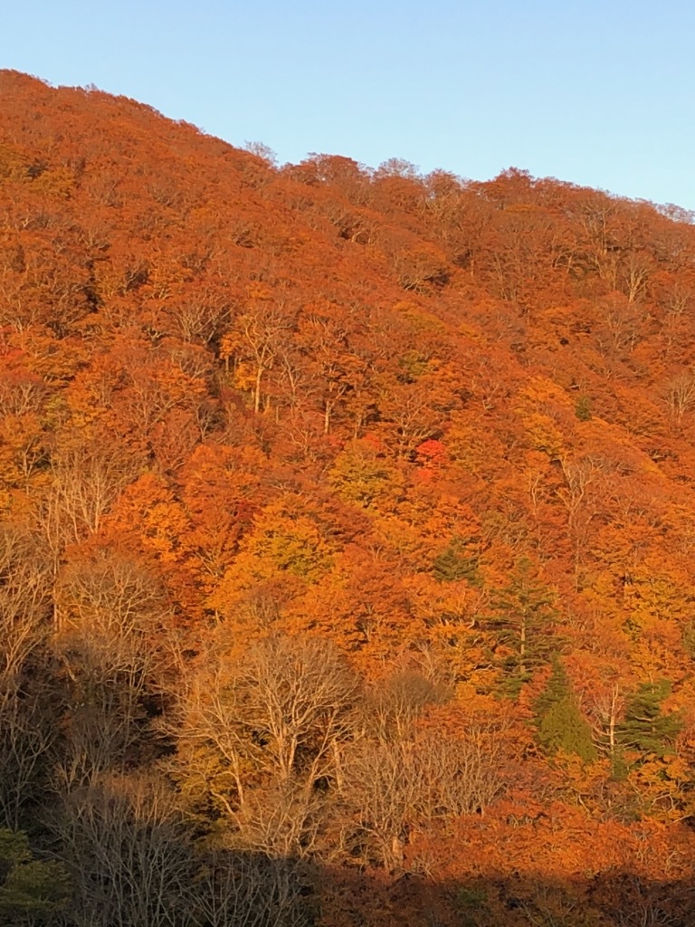 日本全国「高気圧」に覆われたようです。_c0160368_19072662.jpg