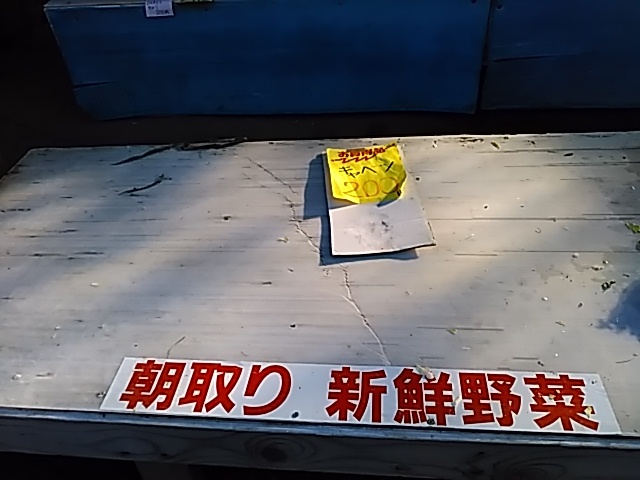 日本全国「高気圧」に覆われたようです。_c0160368_19111589.jpg