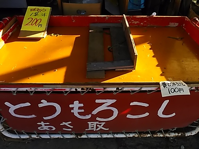 日本全国「高気圧」に覆われたようです。_c0160368_19121069.jpg