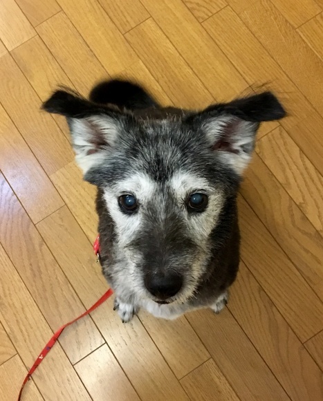 f0389169_21130372.jpeg