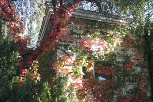 e0181373_21380770.jpg