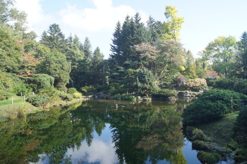 北海道秋景10～真鍋庭園_e0181373_21391286.jpg