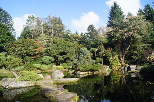 北海道秋景10～真鍋庭園_e0181373_21391814.jpg