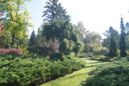 e0181373_21392780.jpg