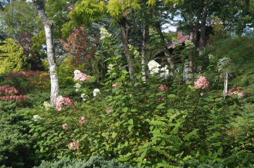 北海道秋景10～真鍋庭園_e0181373_21395962.jpg