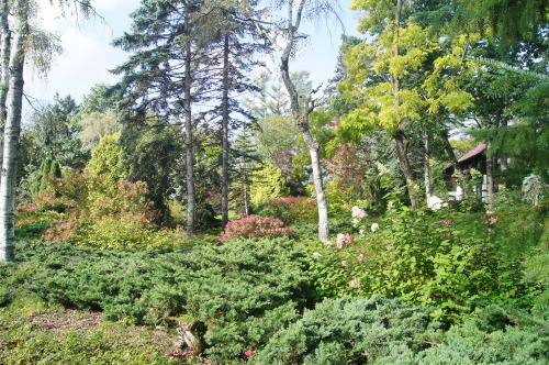 北海道秋景10～真鍋庭園_e0181373_21400840.jpg