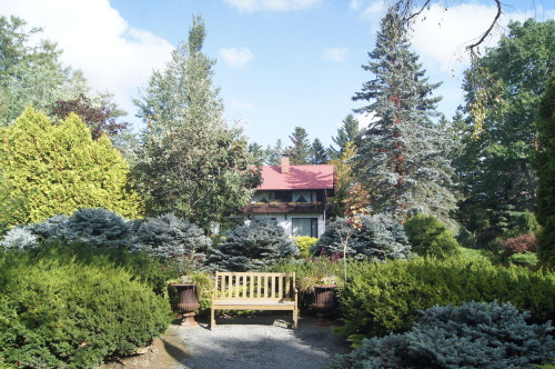 e0181373_21405140.jpg