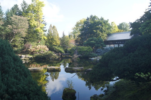 北海道秋景10～真鍋庭園_e0181373_21573508.jpg