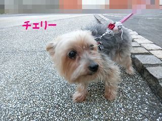 d0353074_17421044.jpg