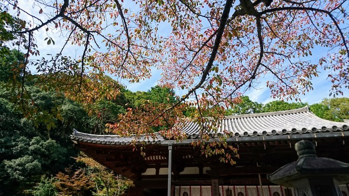 秋の奈良・霊山寺_b0168575_00094985.jpg