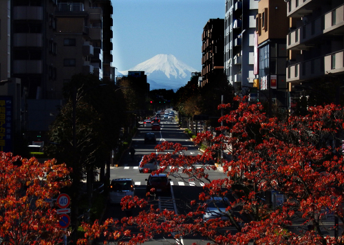 政治の責任かみしめて_b0190576_13114578.jpg