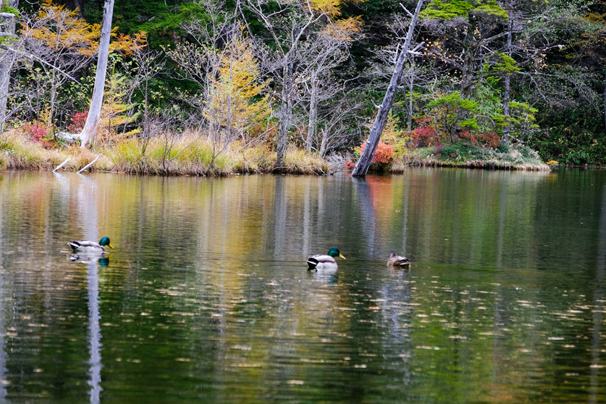 e0243382_07331688.jpg