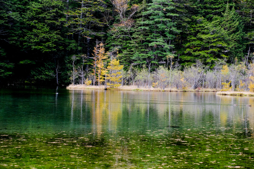 e0243382_07332323.jpg