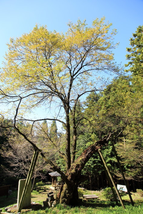 c0358784_21255143.jpg