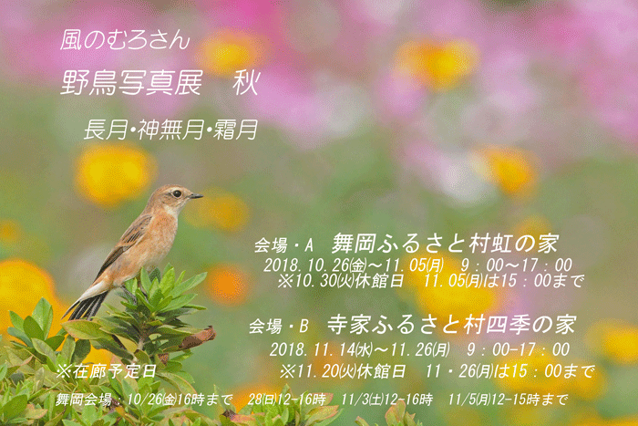 お知らせ　＜野鳥写真展＞_e0248688_06473455.gif