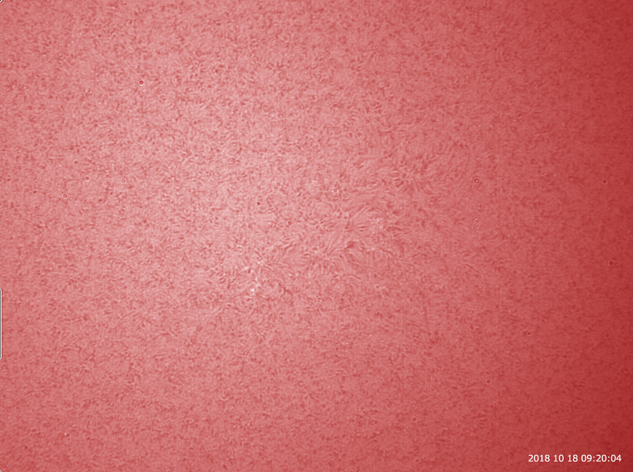 12月18日の太陽_e0174091_14510635.jpg