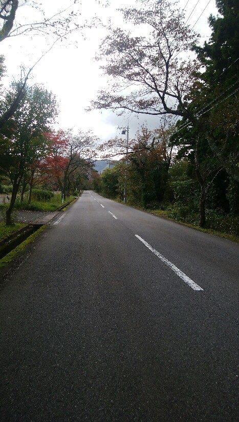 a0348193_20341765.jpg