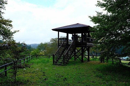 b0119493_20301276.jpg