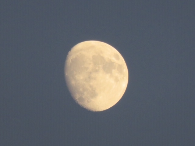 f0204295_19404156.jpg