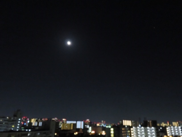 f0204295_19405865.jpg