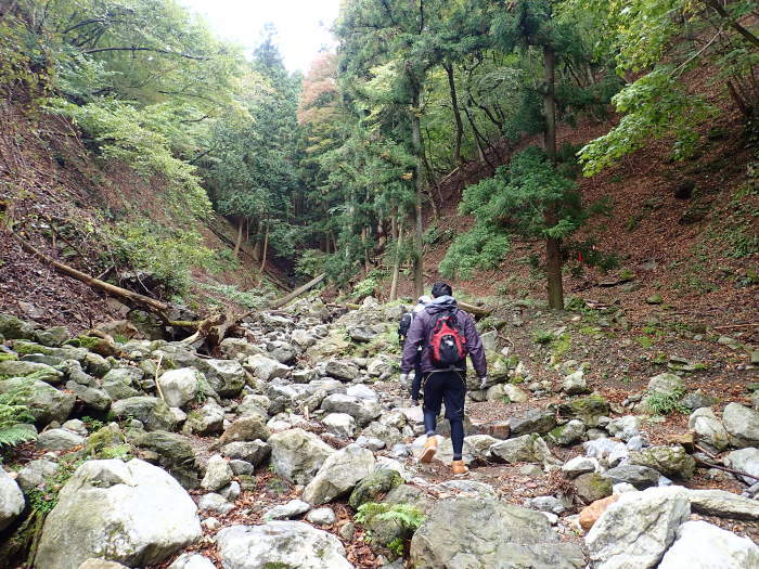 御池岳登山_a0049296_06310457.jpg