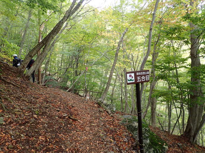 御池岳登山_a0049296_06333746.jpg