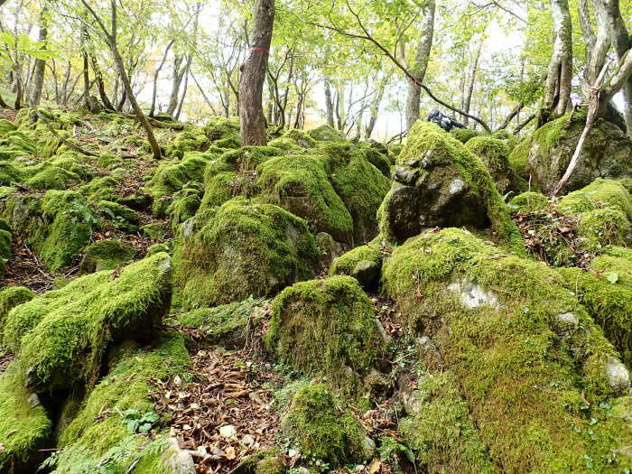 御池岳登山_a0049296_06354194.jpg
