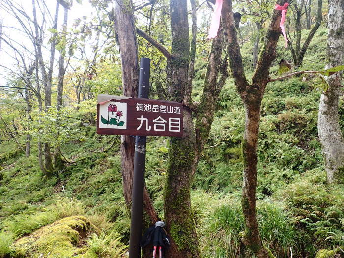 御池岳登山_a0049296_06364557.jpg