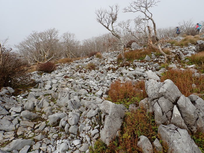 御池岳登山_a0049296_06392117.jpg