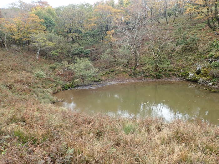 御池岳登山_a0049296_06434530.jpg