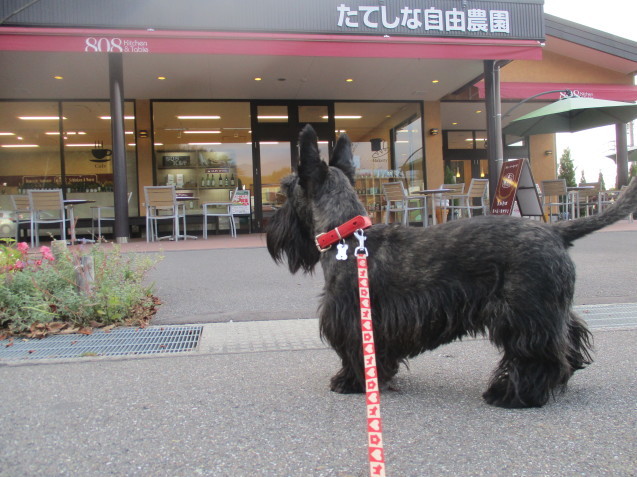 a0091796_19524428.jpeg