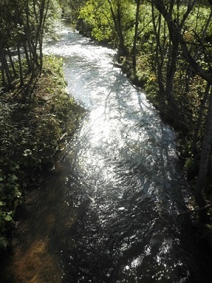 e0180796_04211068.jpg