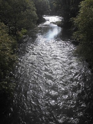 e0180796_04212829.jpg