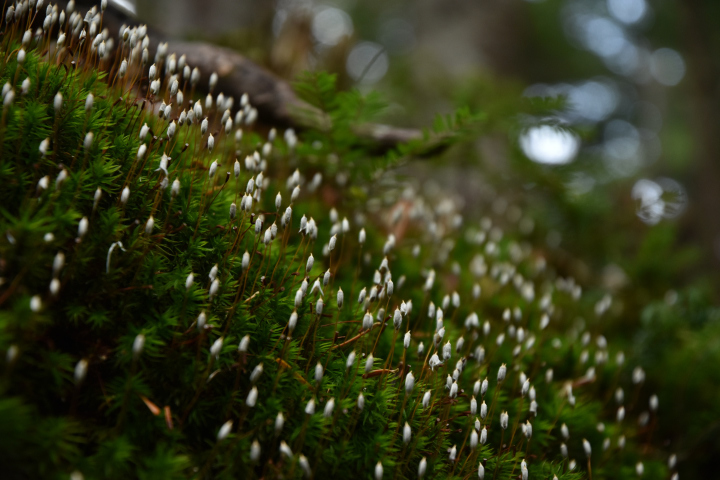 d0363399_17065351.jpg