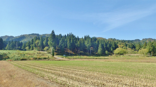 八海山を旅してみました!_c0336902_21181708.jpg