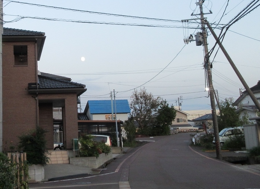 a0203003_19593209.jpg