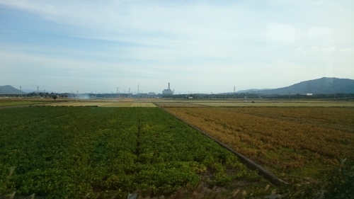 e0351303_21315667.jpg